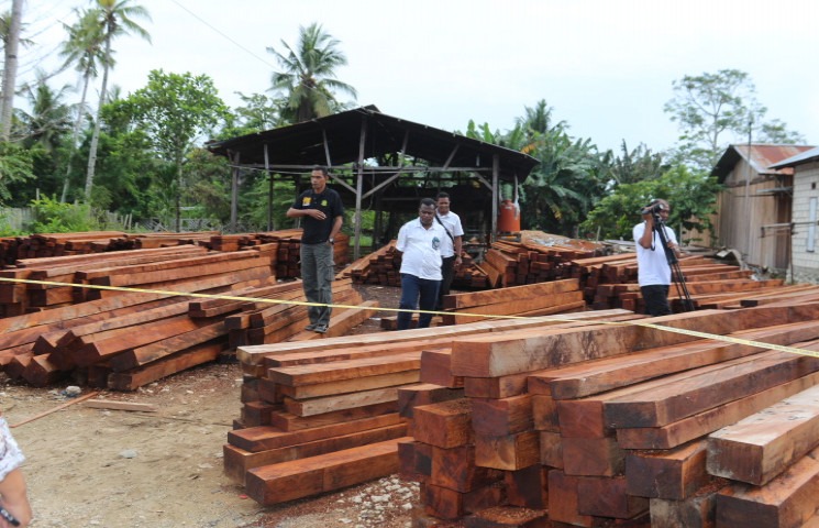 Dishut Prihatin Banyak Temuan Kayu Hasil Illegal Logging